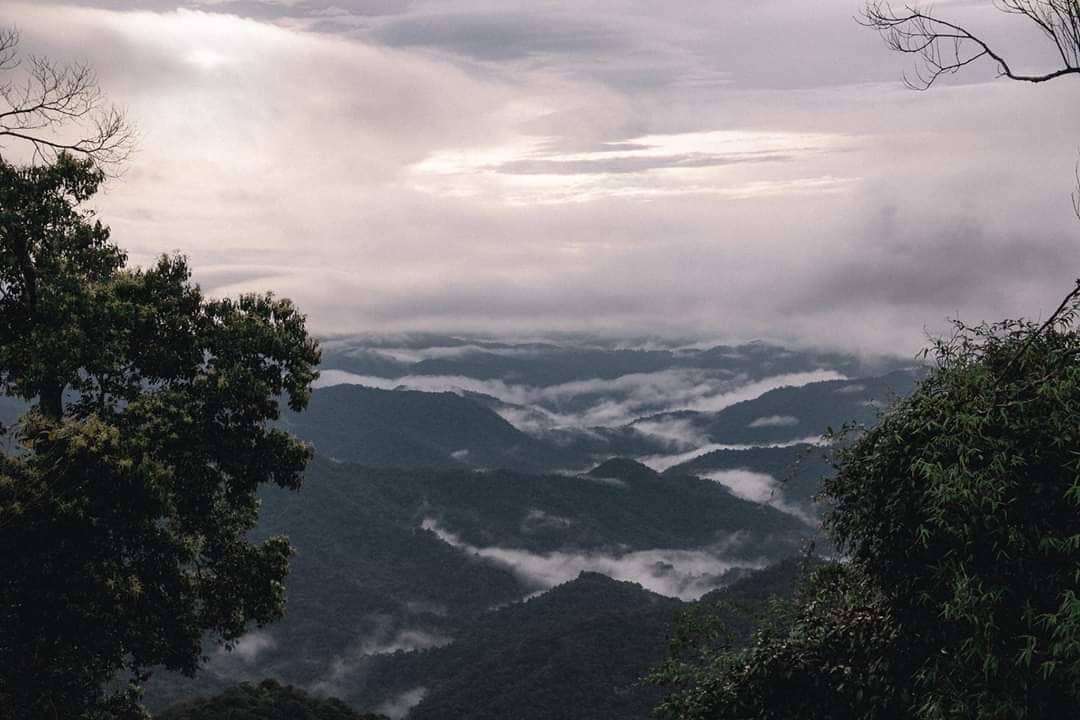 Đỉnh Quế